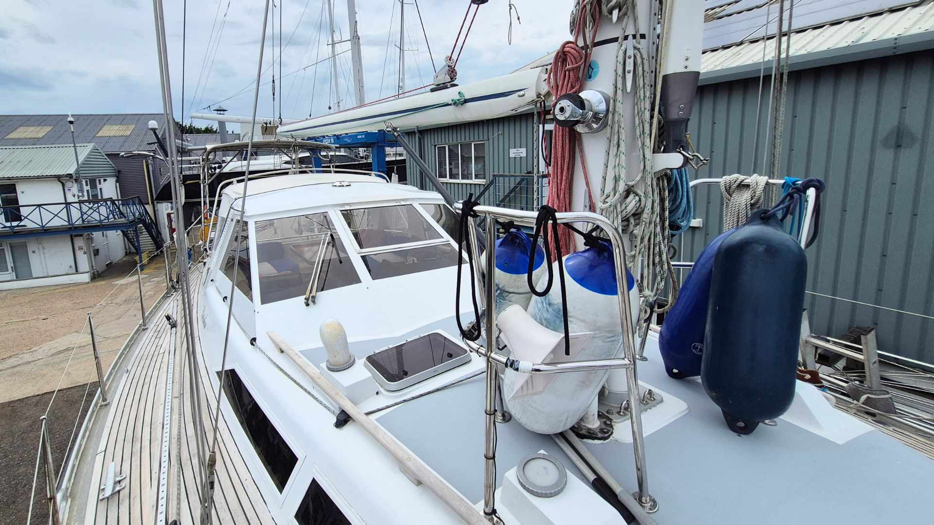 Trintella 49A - 13