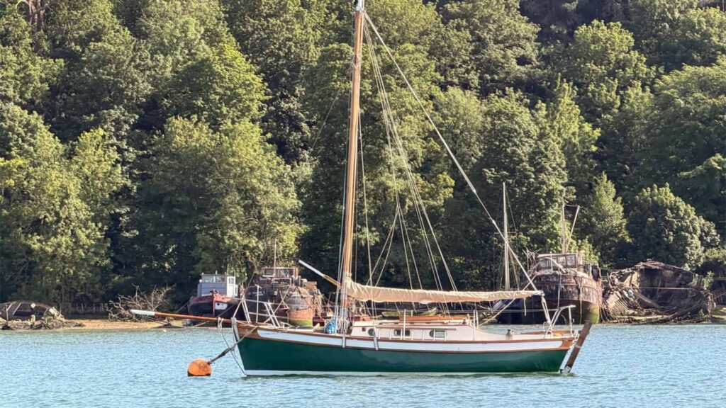 Tamarisk 24