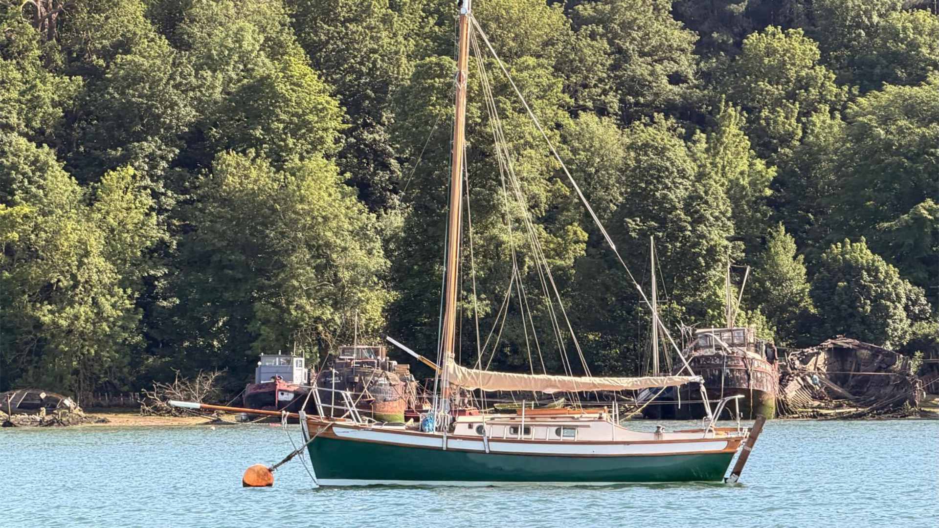 Tamarisk 24