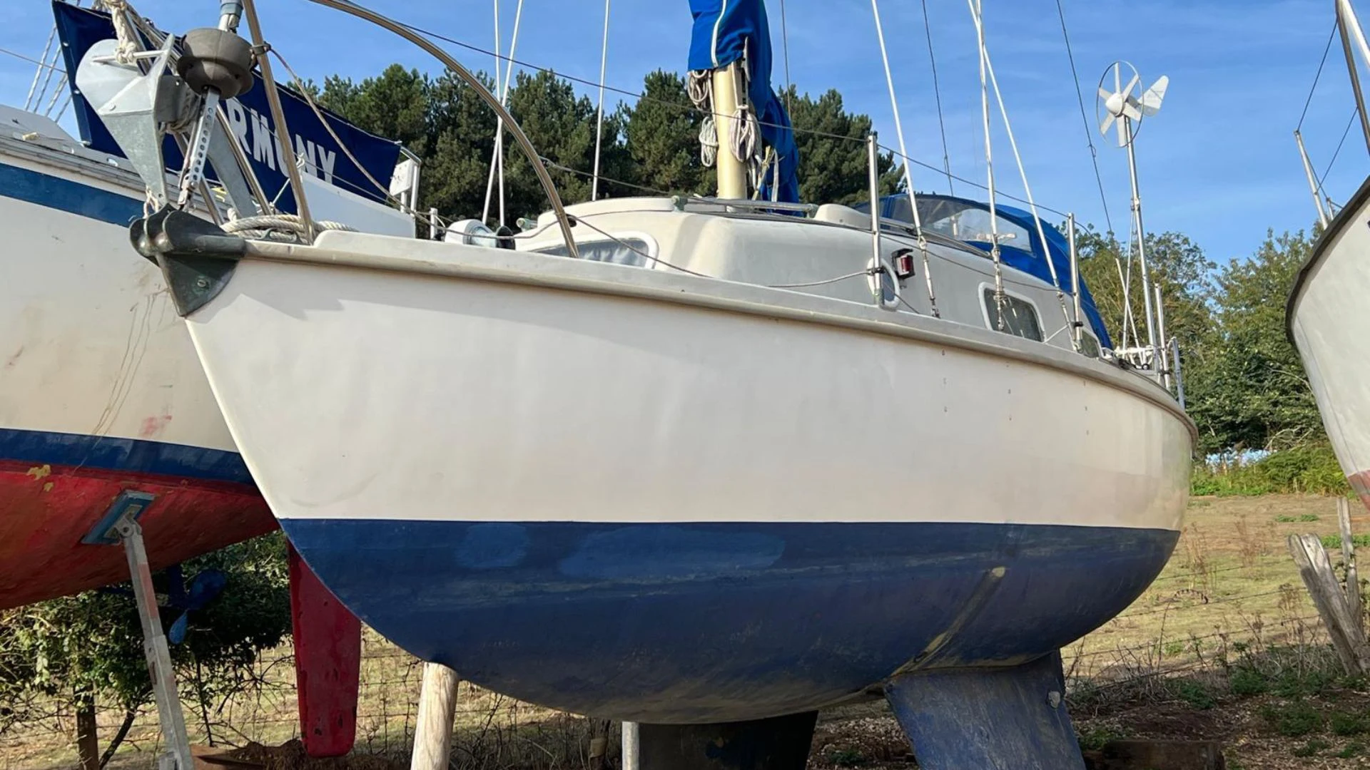 Kingfisher 26