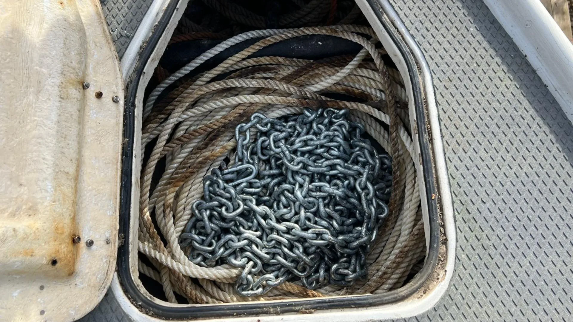 Kingfisher 26 - 18