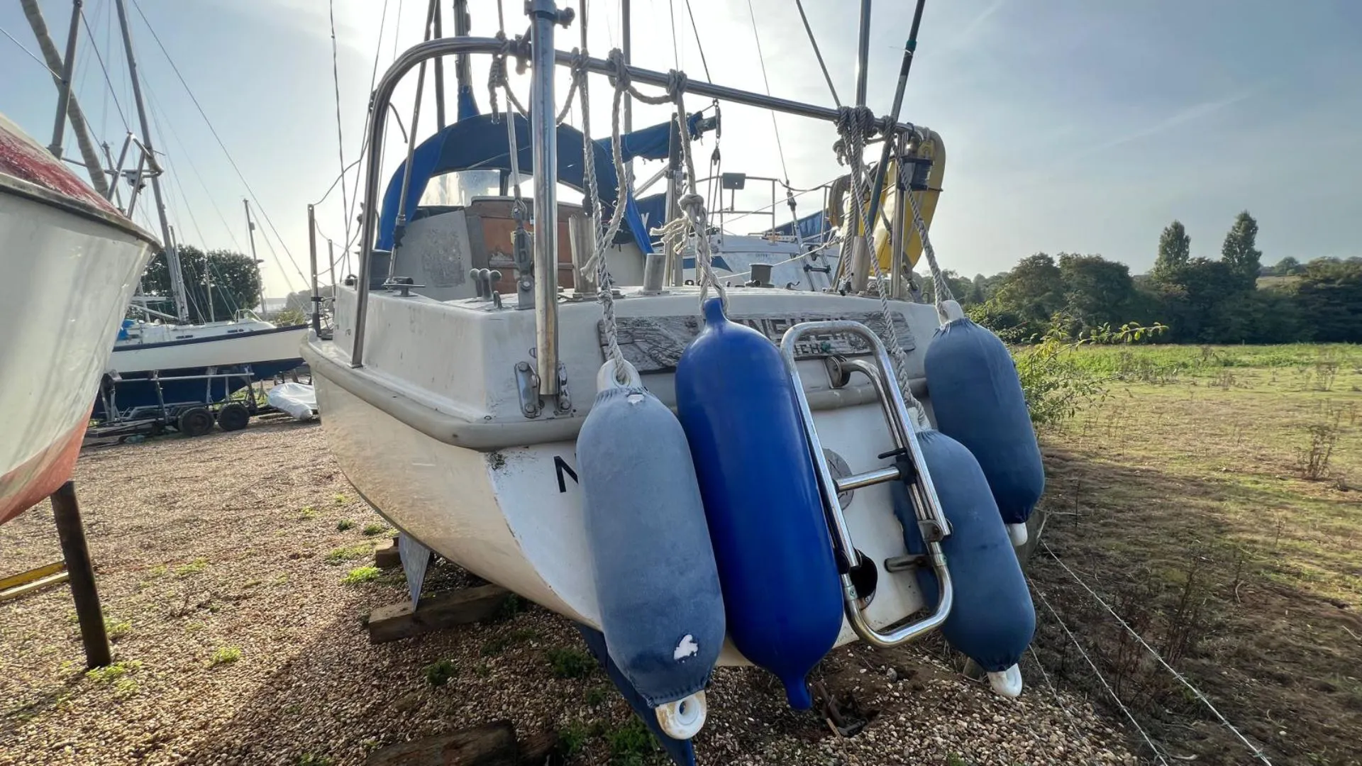 Kingfisher 26 - 2