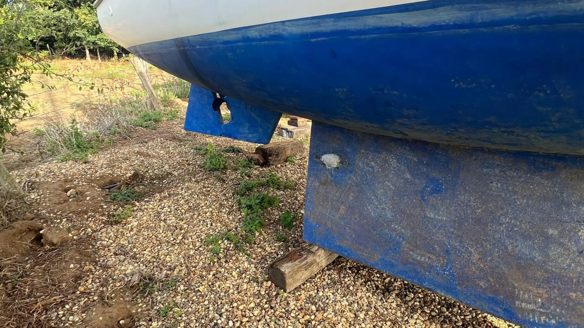 Kingfisher 26 - 21