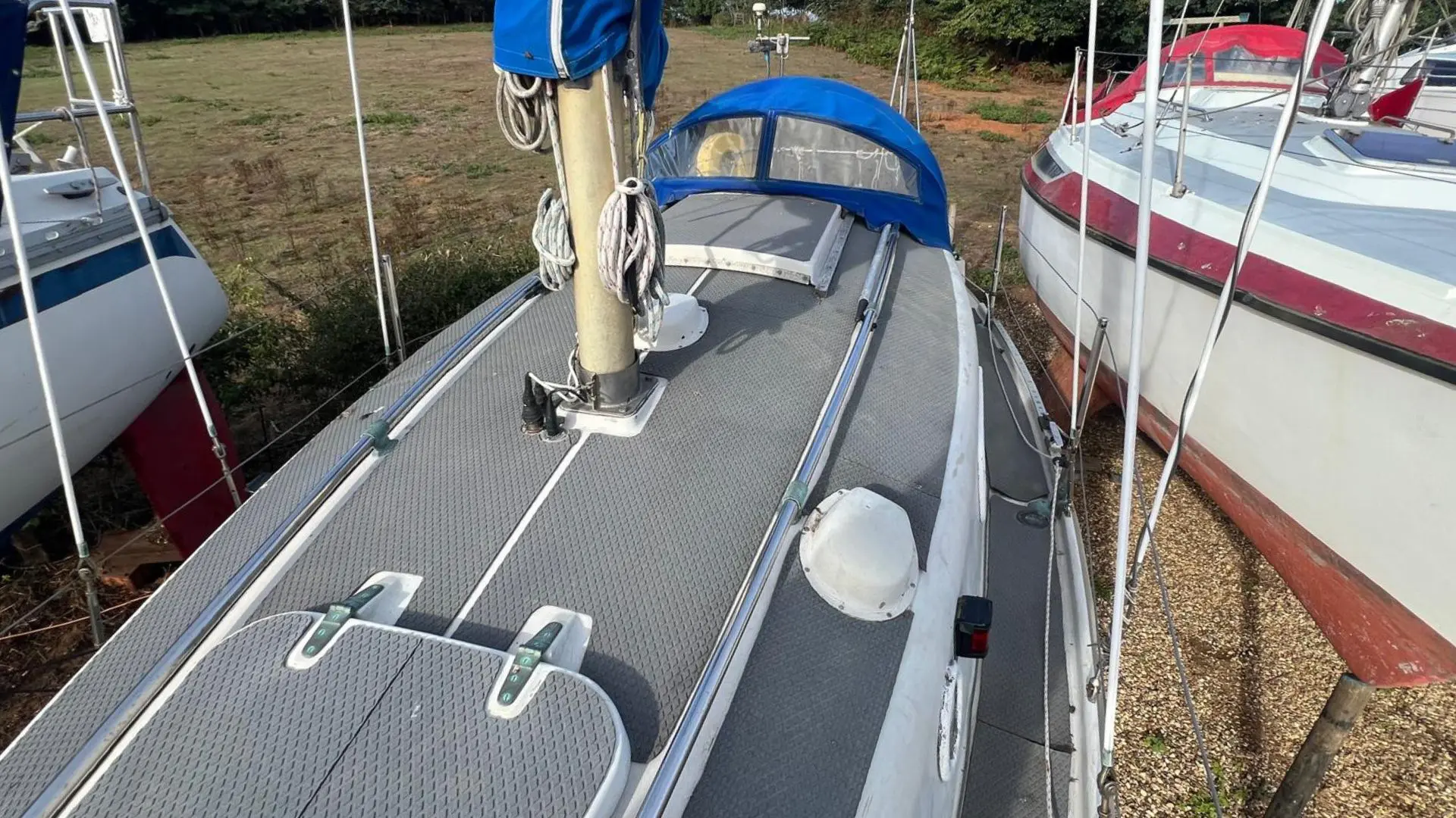 Kingfisher 26 - 3