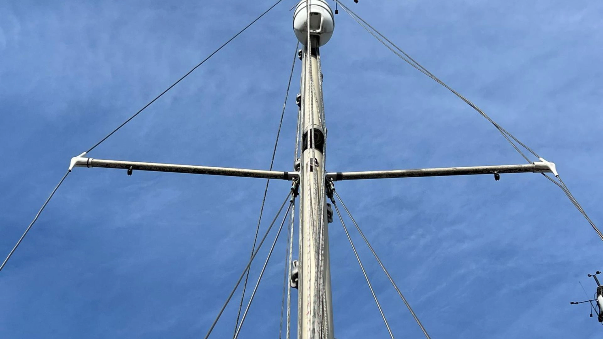 Kingfisher 26 - 8