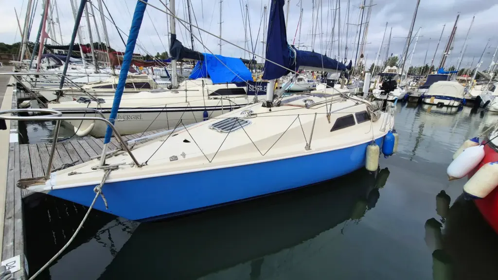 Hunter Delta 25