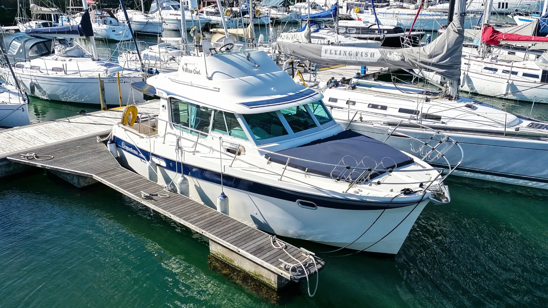 Ocqueteau 975