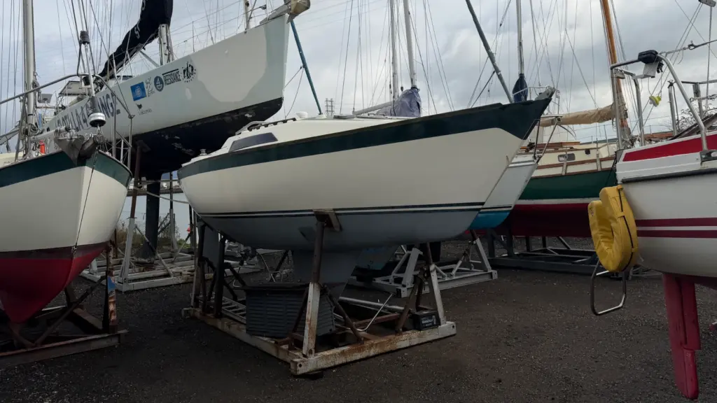 Oyster 26