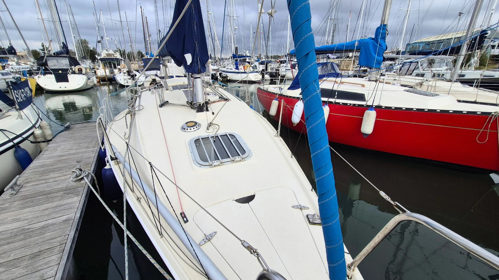 Hunter Delta 25 - 3